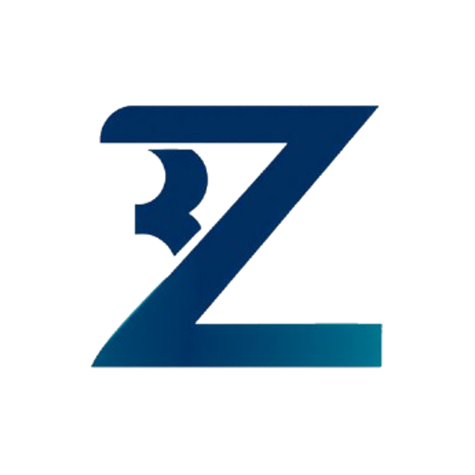 BZ Backup 로고